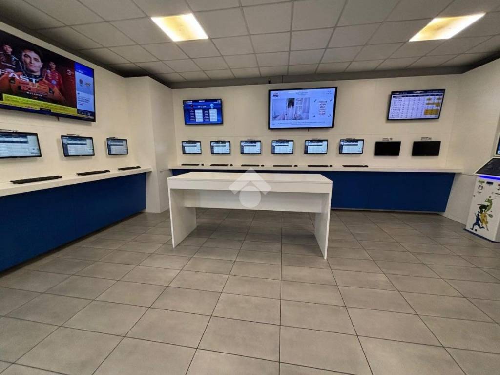 immagine annuncio 3 di 11