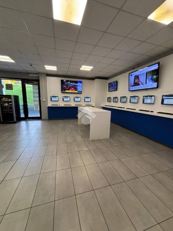 immagine annuncio 4 di 11