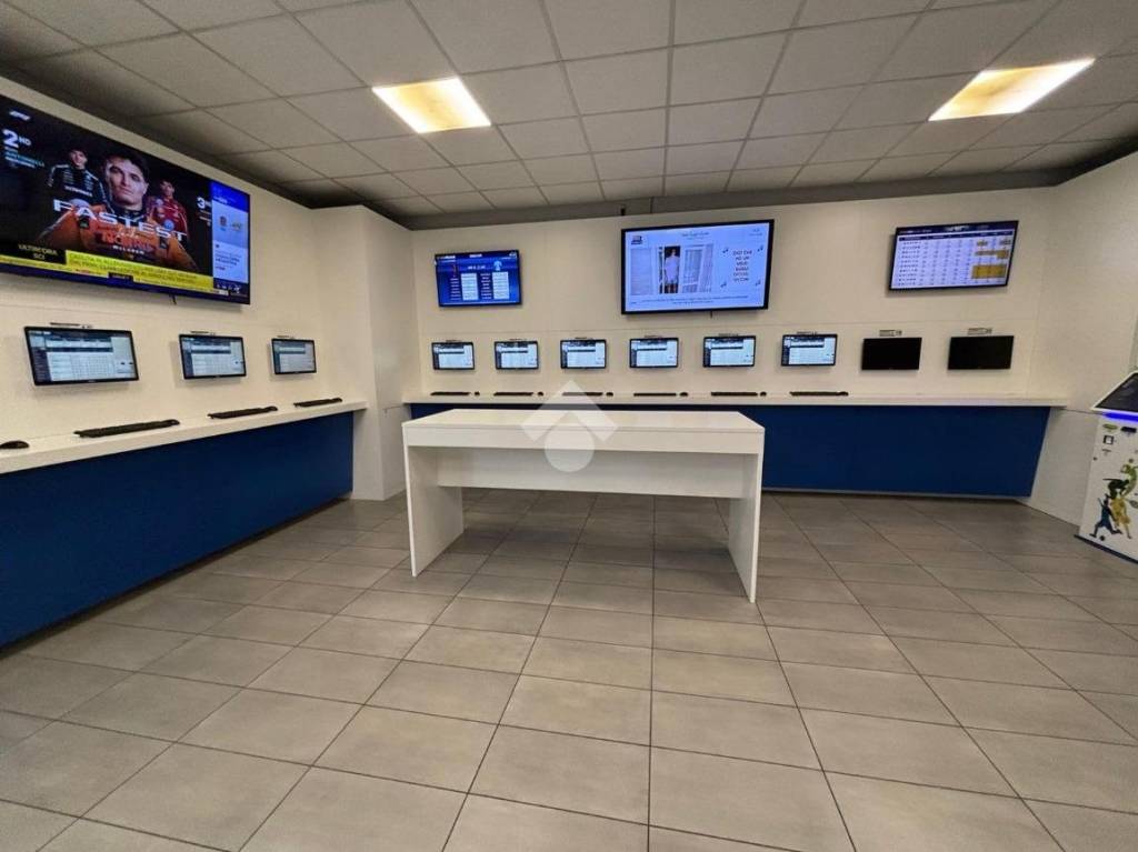 immagine annuncio 7 di 11