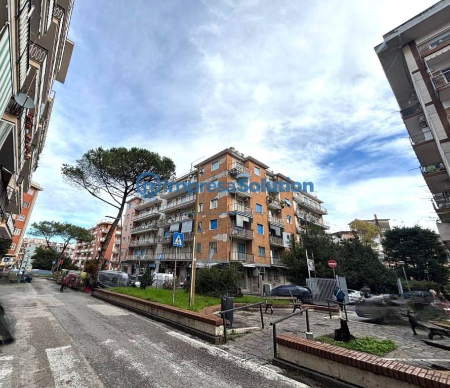 immagine annuncio 2 di 12