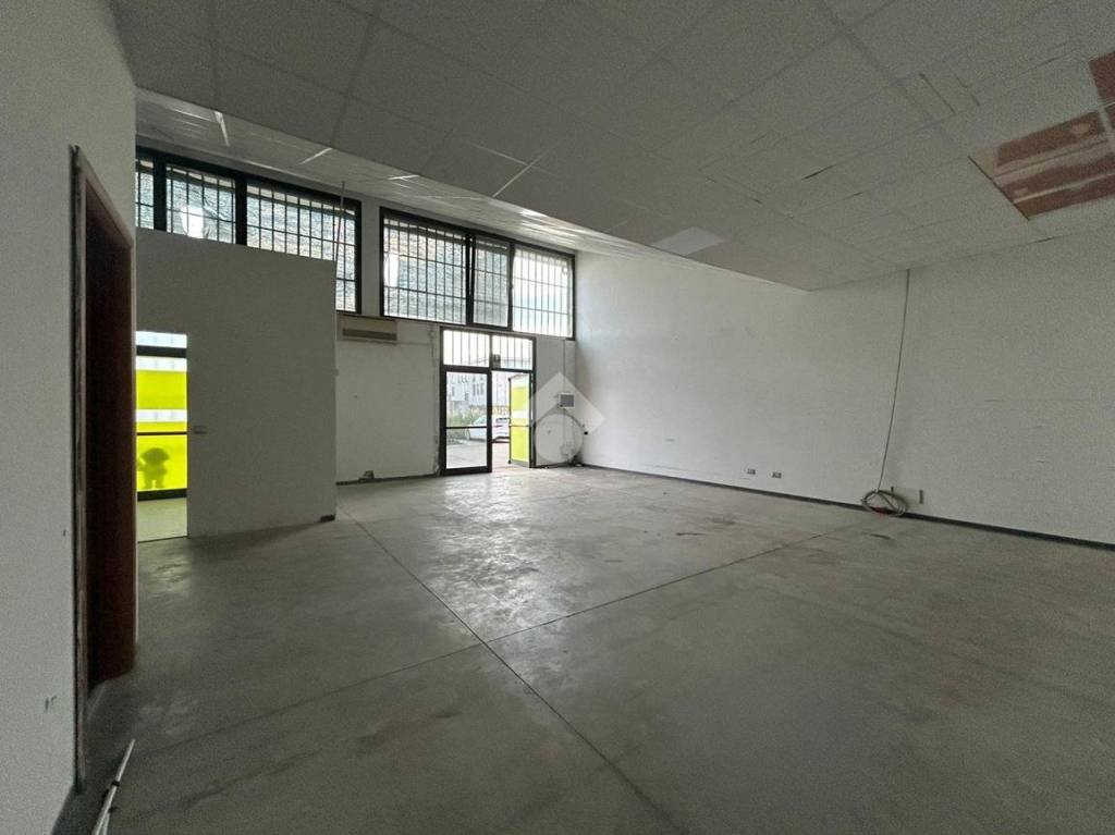 immagine annuncio 3 di 12