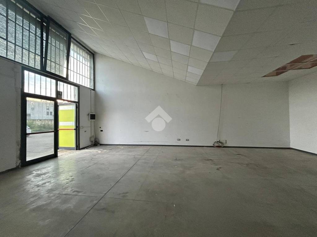 immagine annuncio 5 di 12