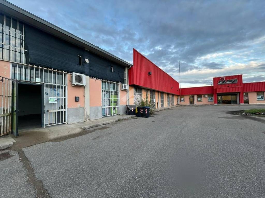 immagine annuncio 10 di 12