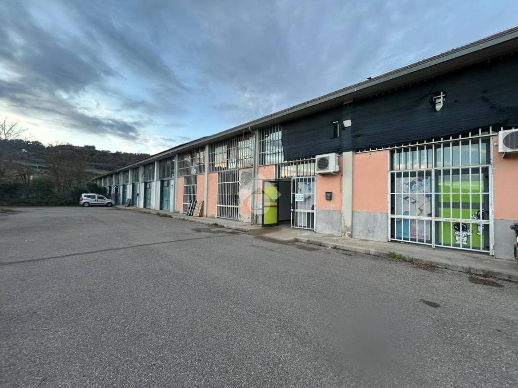 immagine annuncio 11 di 12