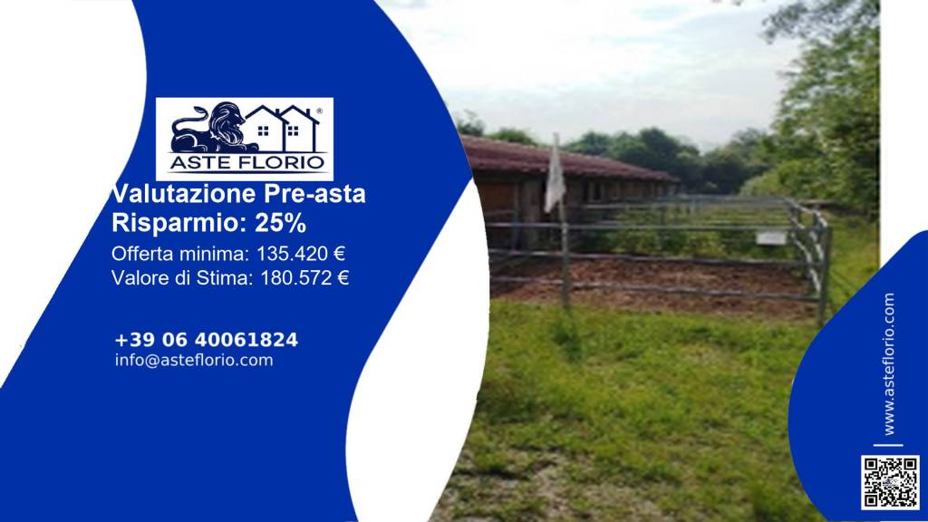 immagine annuncio 1 di 12