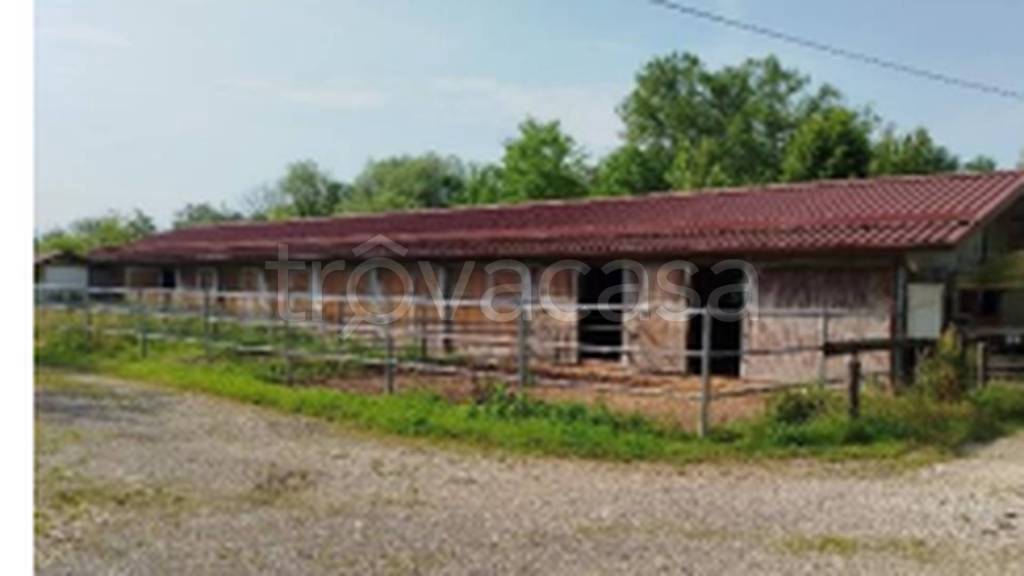 immagine annuncio 1 di 11