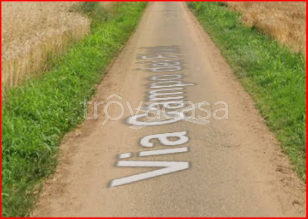 immagine annuncio 3 di 12