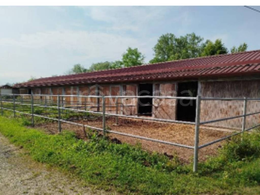 immagine annuncio 4 di 11