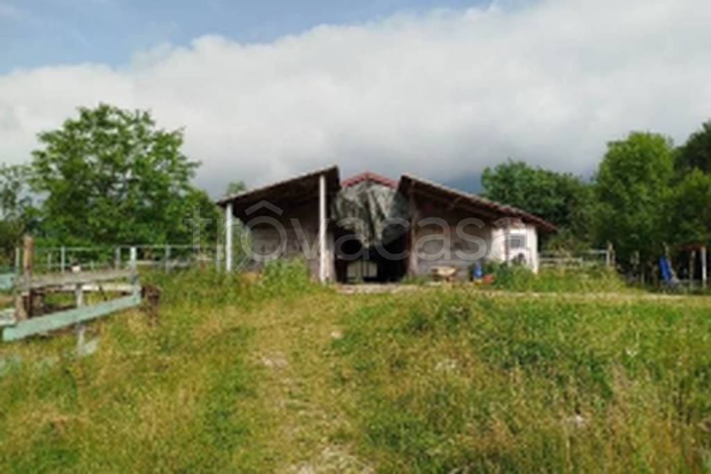 immagine annuncio 6 di 11