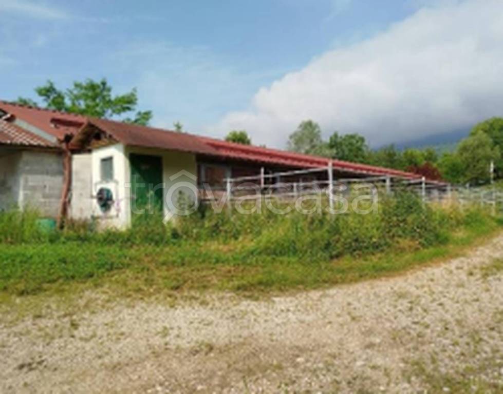 immagine annuncio 8 di 11