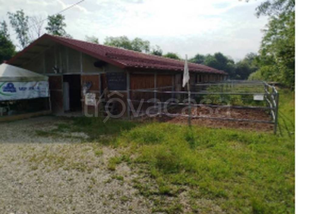 immagine annuncio 9 di 11