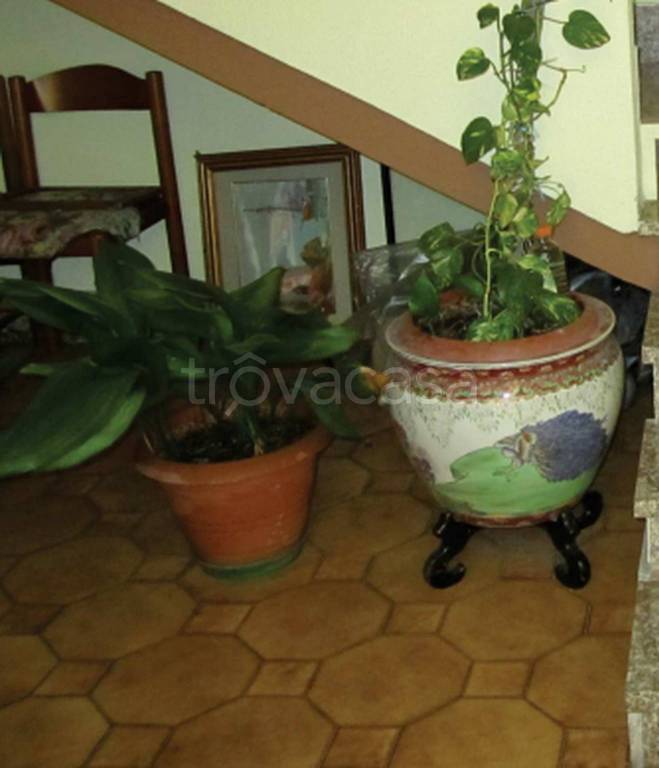 immagine annuncio 8 di 14