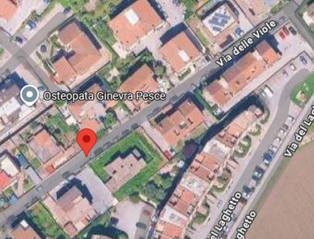 immagine annuncio 7 di 9