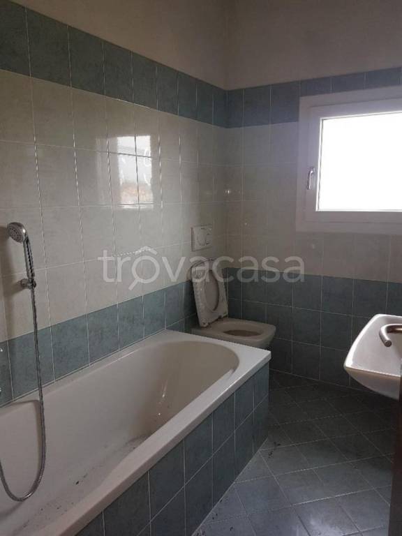 immagine annuncio 7 di 14