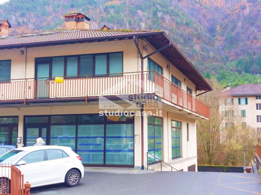 immagine annuncio 12 di 14