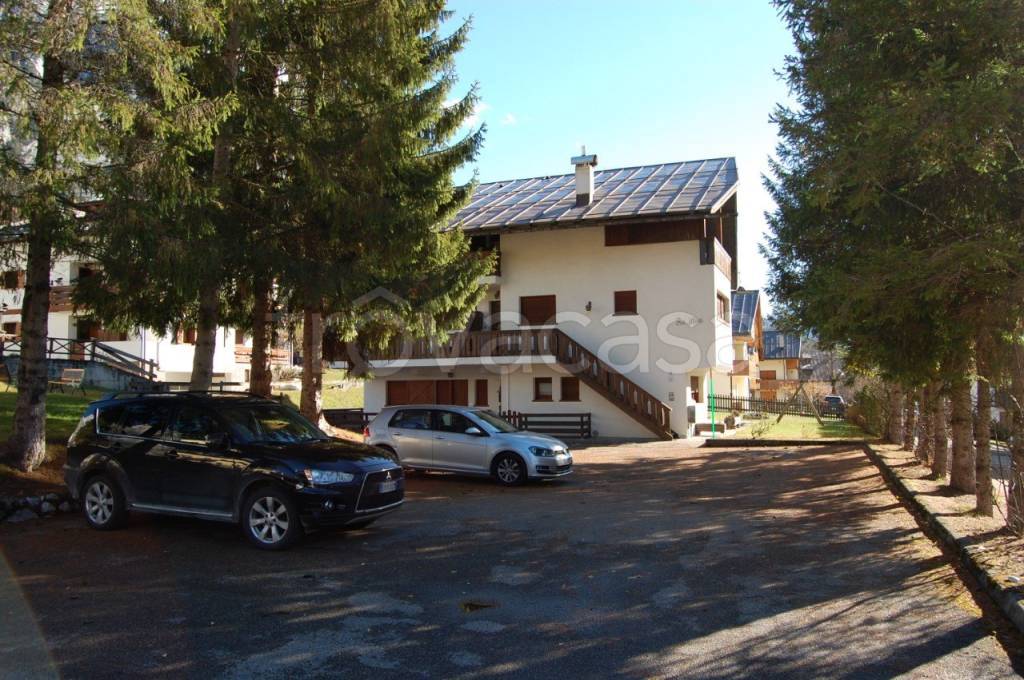 immagine annuncio 3 di 12