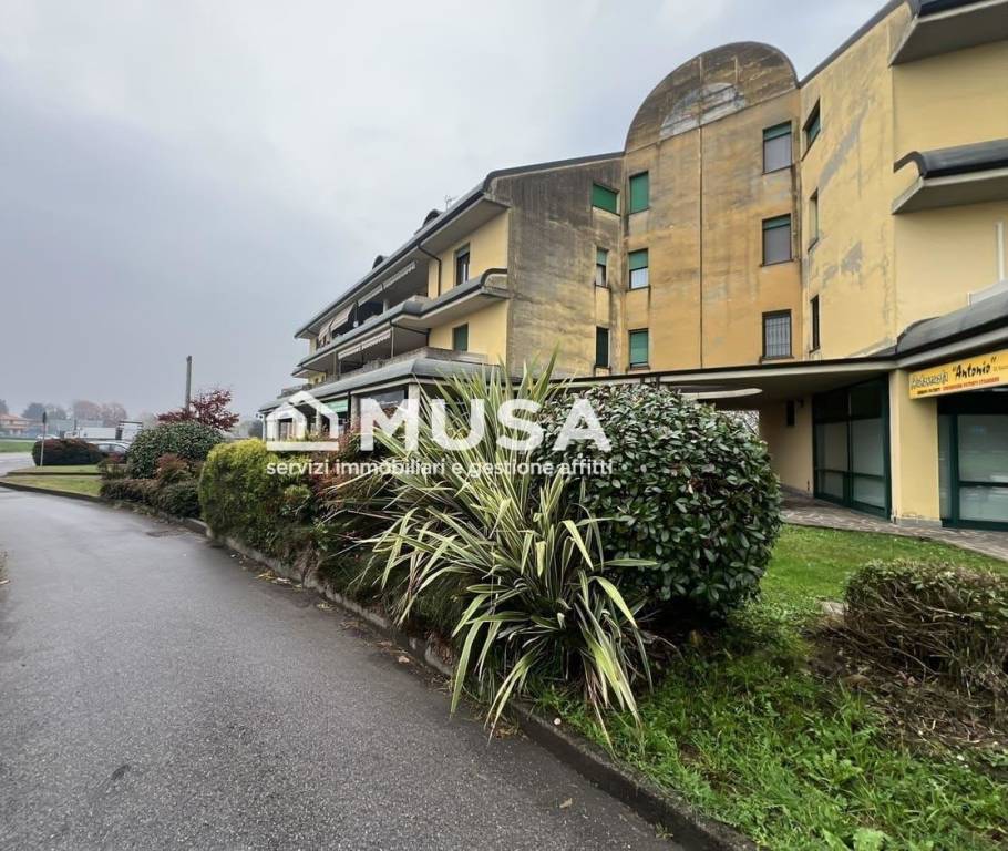 immagine annuncio 9 di 11