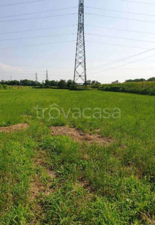 immagine annuncio 4 di 11