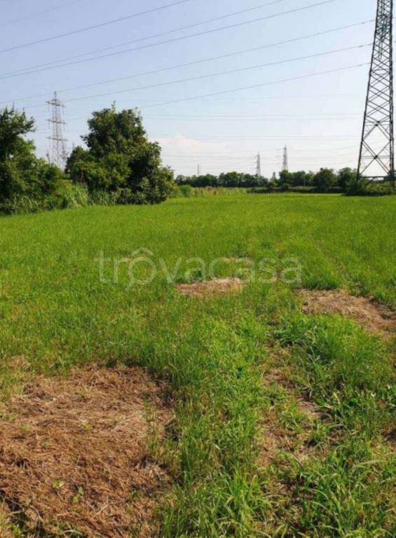 immagine annuncio 5 di 11