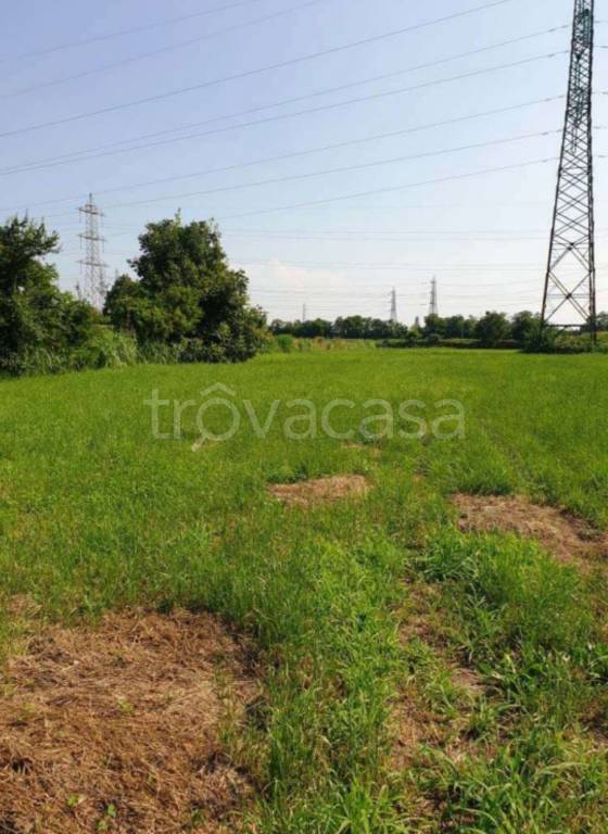 immagine annuncio 6 di 11