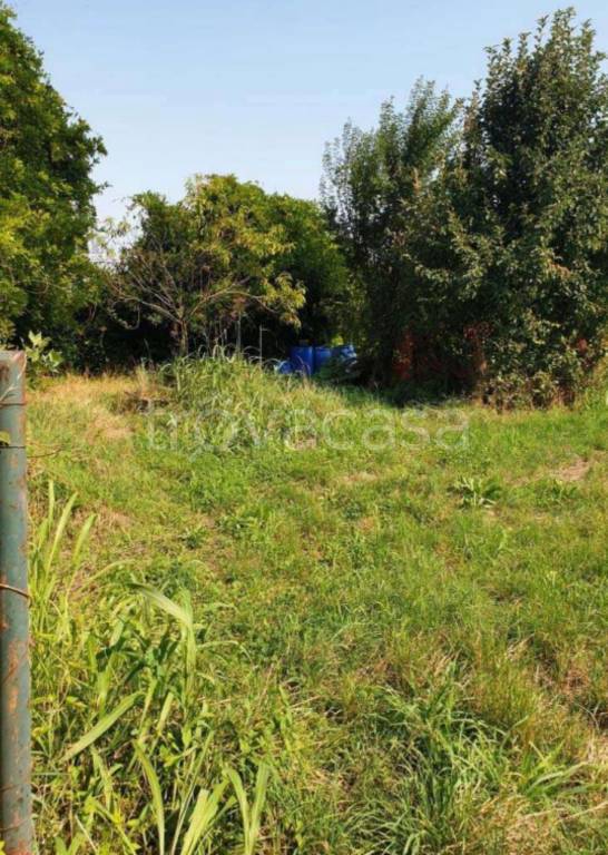 immagine annuncio 7 di 11