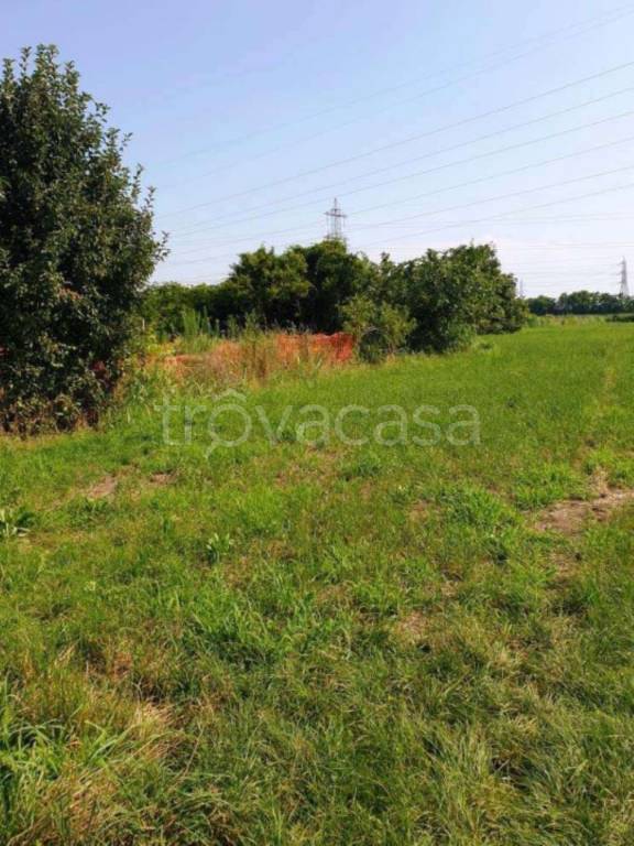 immagine annuncio 8 di 11