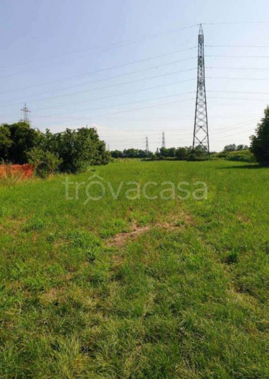 immagine annuncio 9 di 11