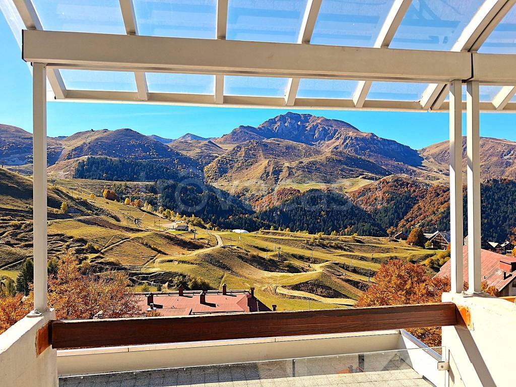 immagine annuncio 4 di 12