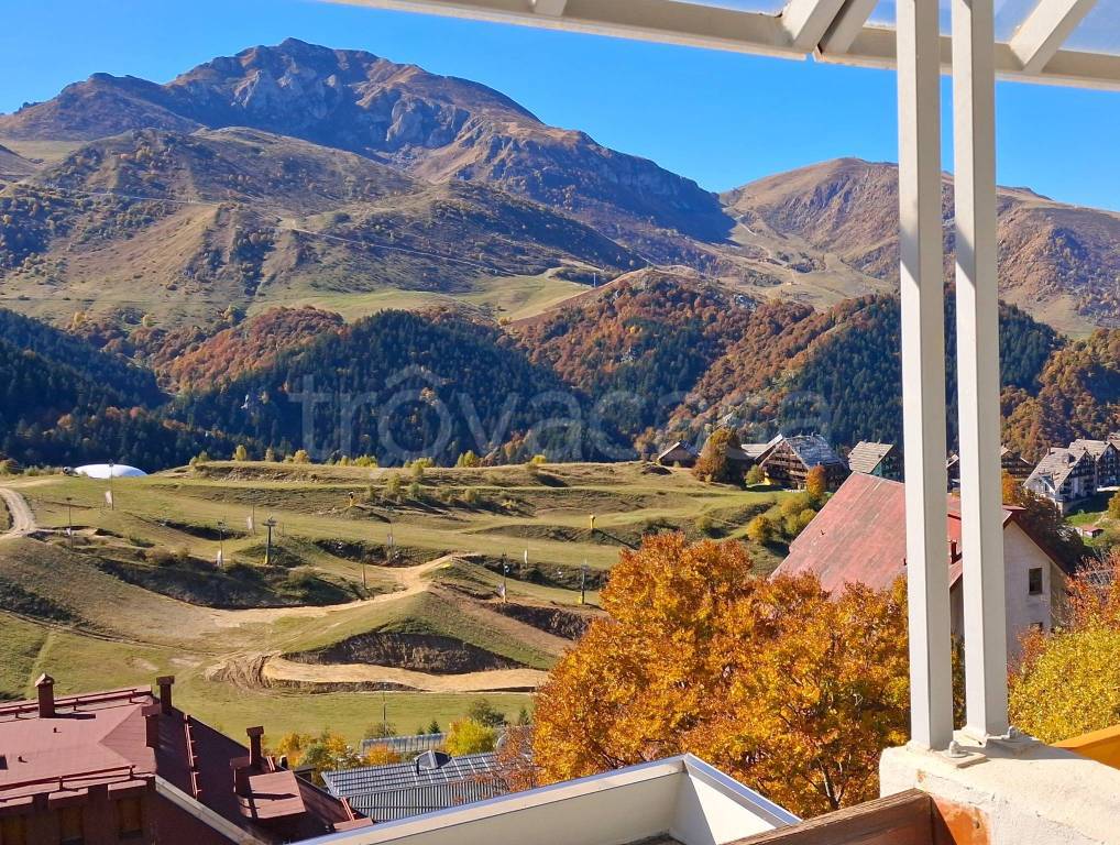 immagine annuncio 9 di 12