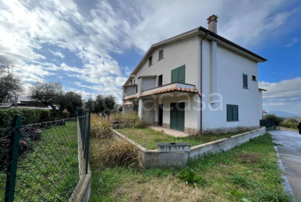 immagine annuncio 6 di 11