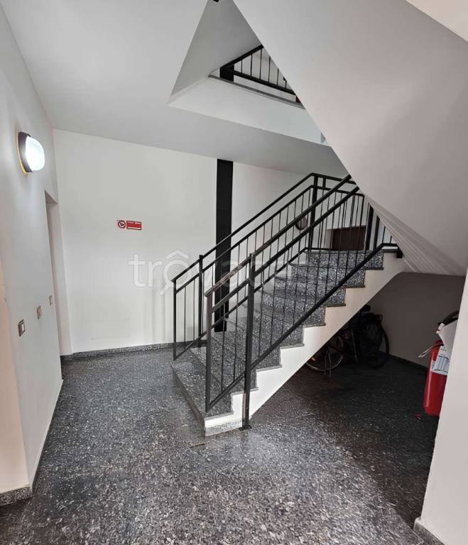 immagine annuncio 2 di 8