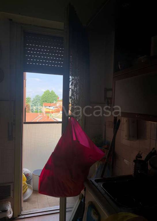 immagine annuncio 4 di 8