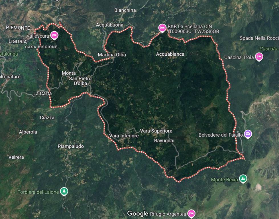 immagine annuncio 3 di 15