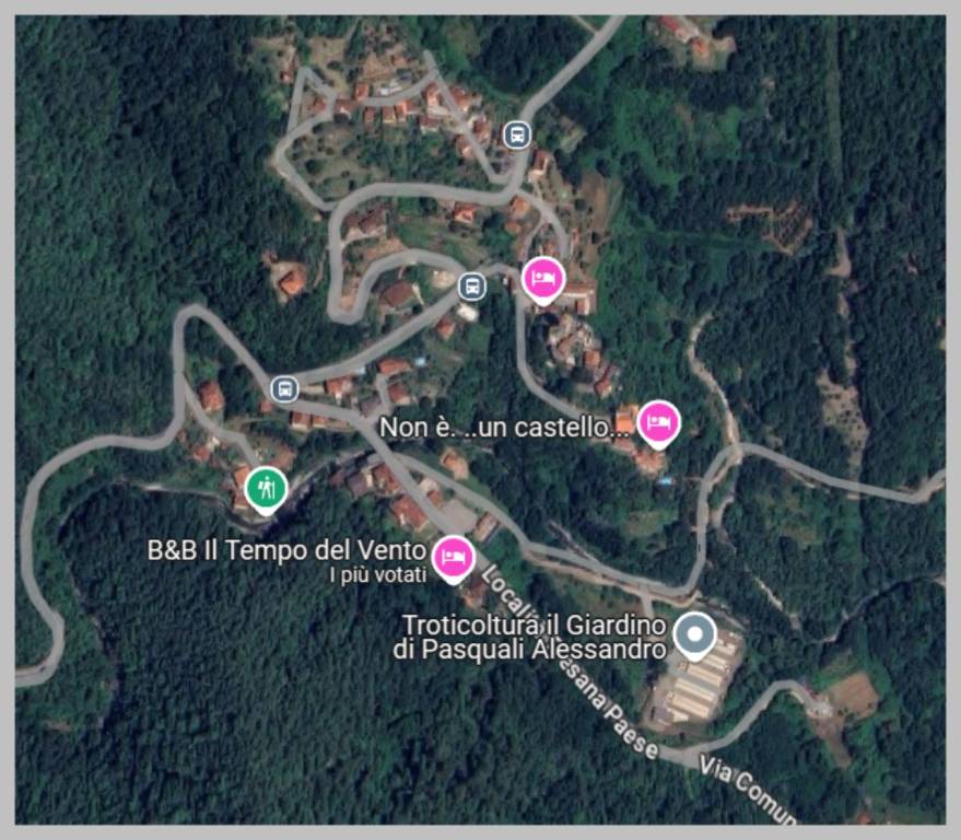 immagine annuncio 10 di 15