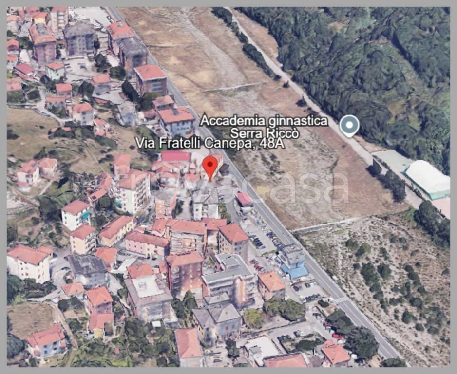 immagine annuncio 14 di 15