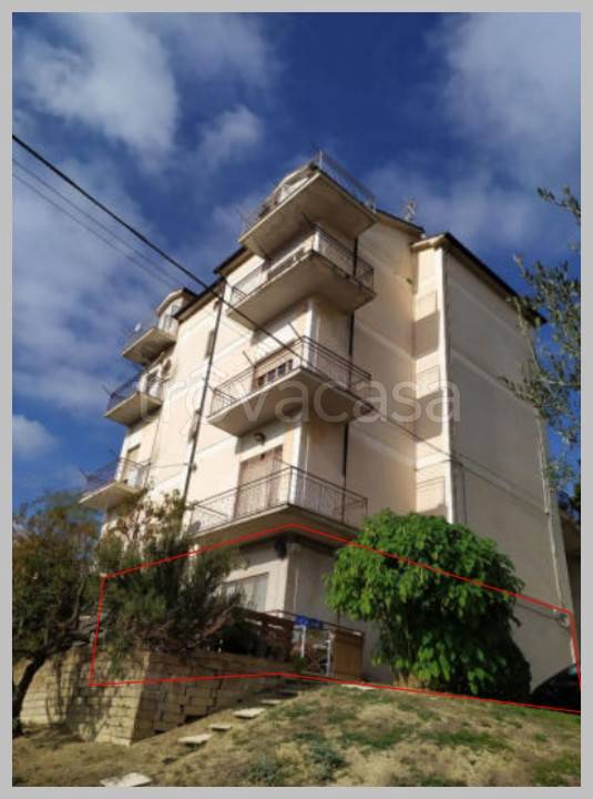 immagine annuncio 13 di 15