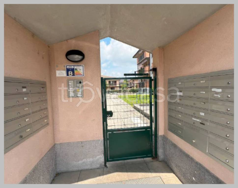 immagine annuncio 10 di 15