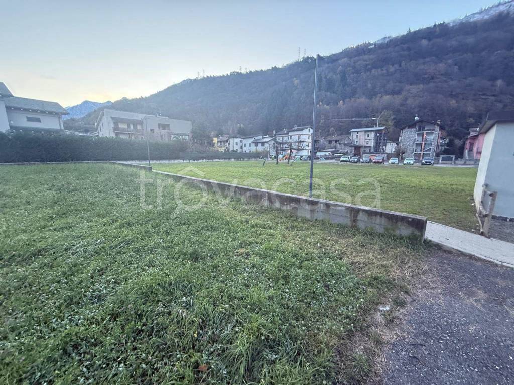 immagine annuncio 1 di 4