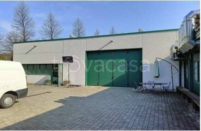 immagine annuncio 3 di 7