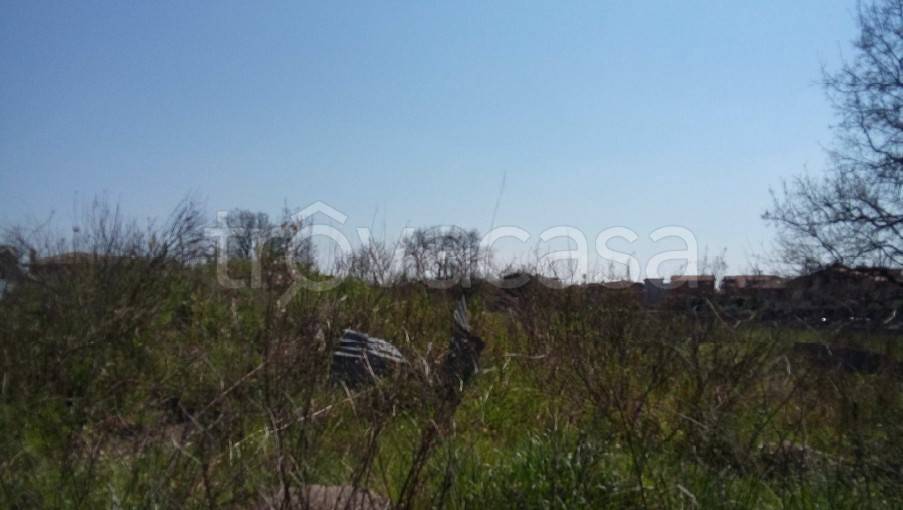 immagine annuncio 1 di 2