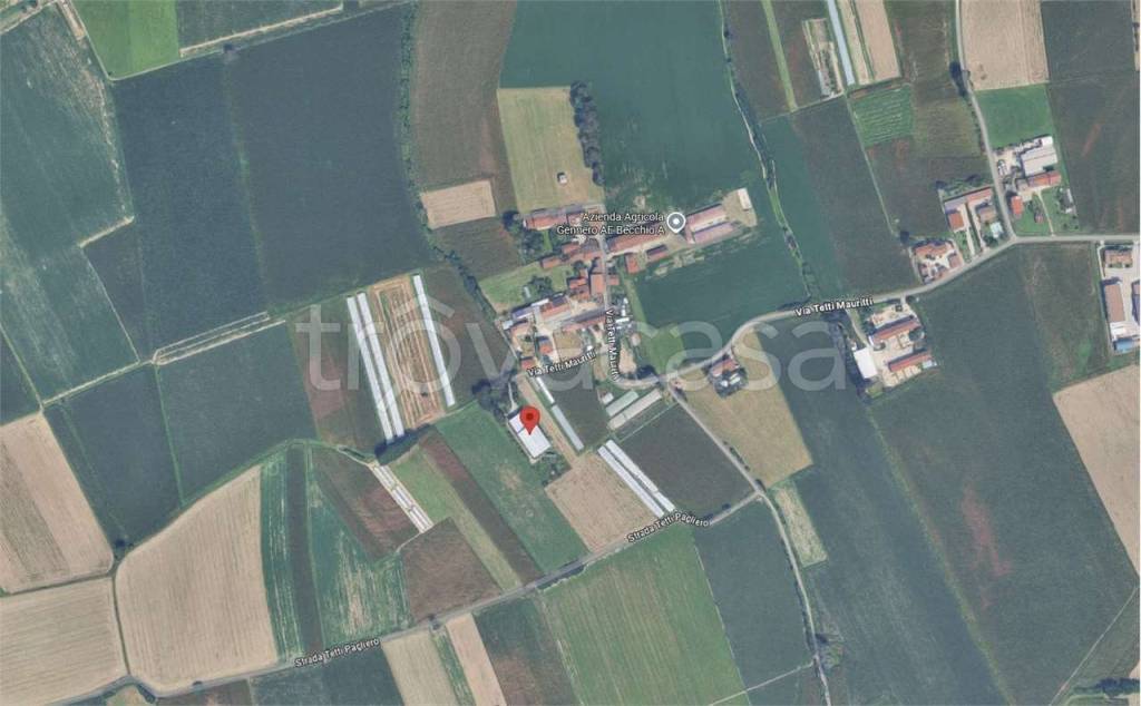 immagine annuncio 1 di 12