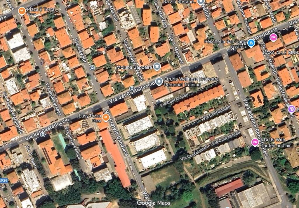 immagine annuncio 3 di 15