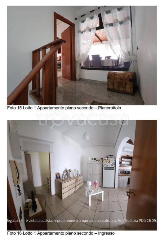 immagine annuncio 12 di 14