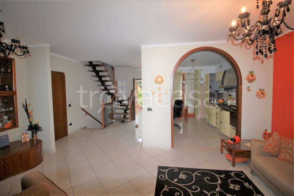 immagine annuncio 6 di 11