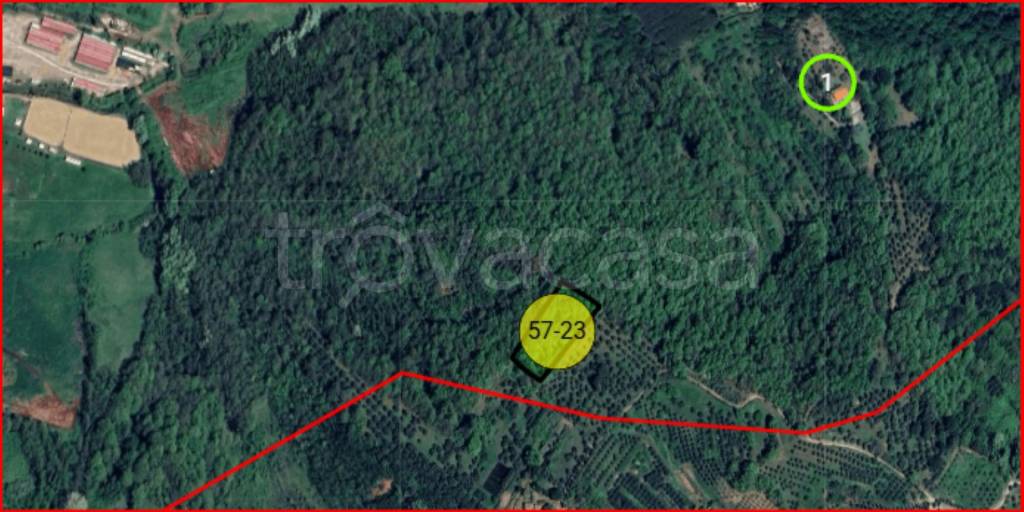 immagine annuncio 11 di 12