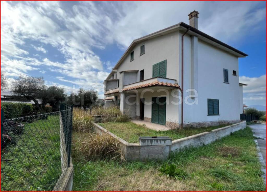 immagine annuncio 1 di 11