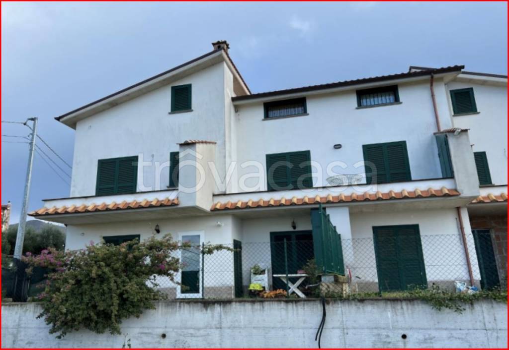 immagine annuncio 3 di 11