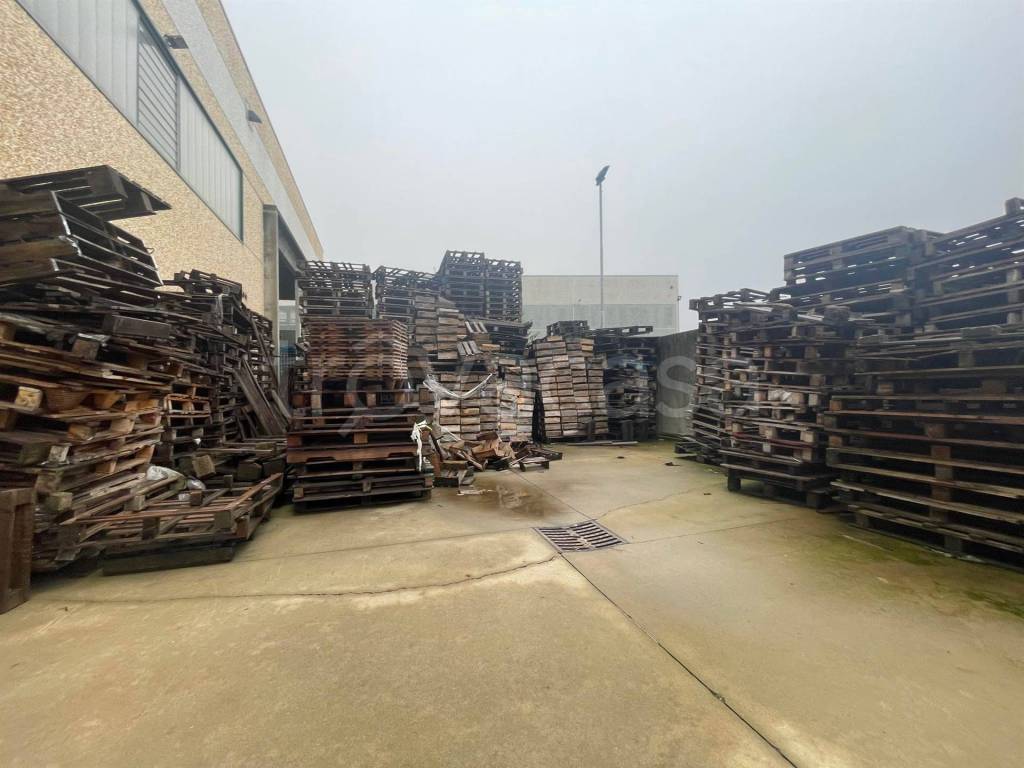 immagine annuncio 10 di 15