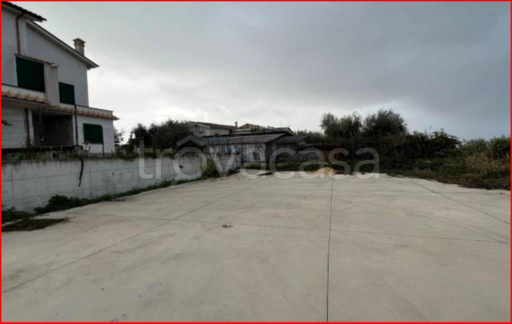 immagine annuncio 6 di 12