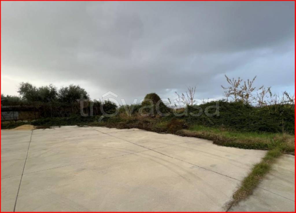 immagine annuncio 7 di 12